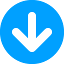 Any Video Downloader Pro（视频下载工具）v9.1.9 便携版