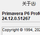 P6 Pro R2412 项目管理软件 单机免费版