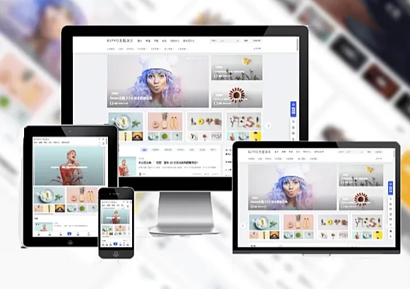 WordPress B2 PRO 主题 v5.4.2 无需授权直装版