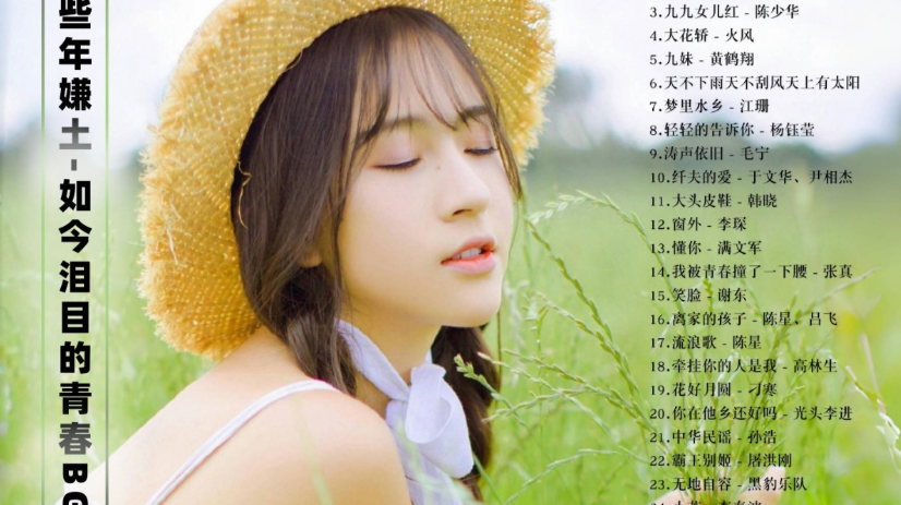 【土味金曲无损格式带歌词】那些年嫌土，如今泪目的青春BGM[FLAC/1.4G]